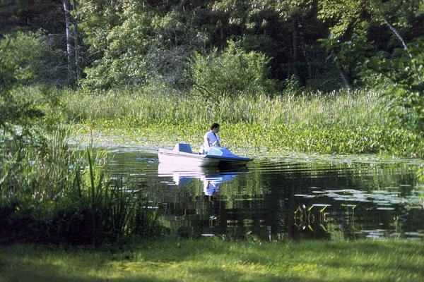 album Kodak Gold 100 (35 mm)
